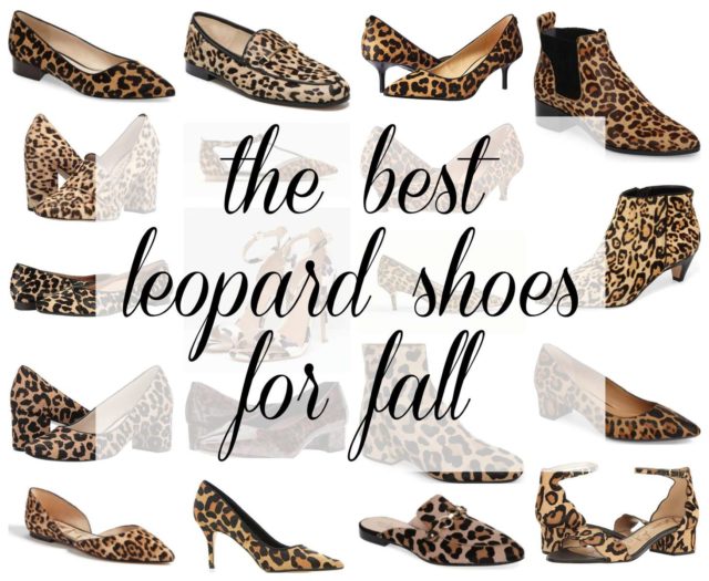 Leopard Print Sneakers Waterproof for Women : : Clothing