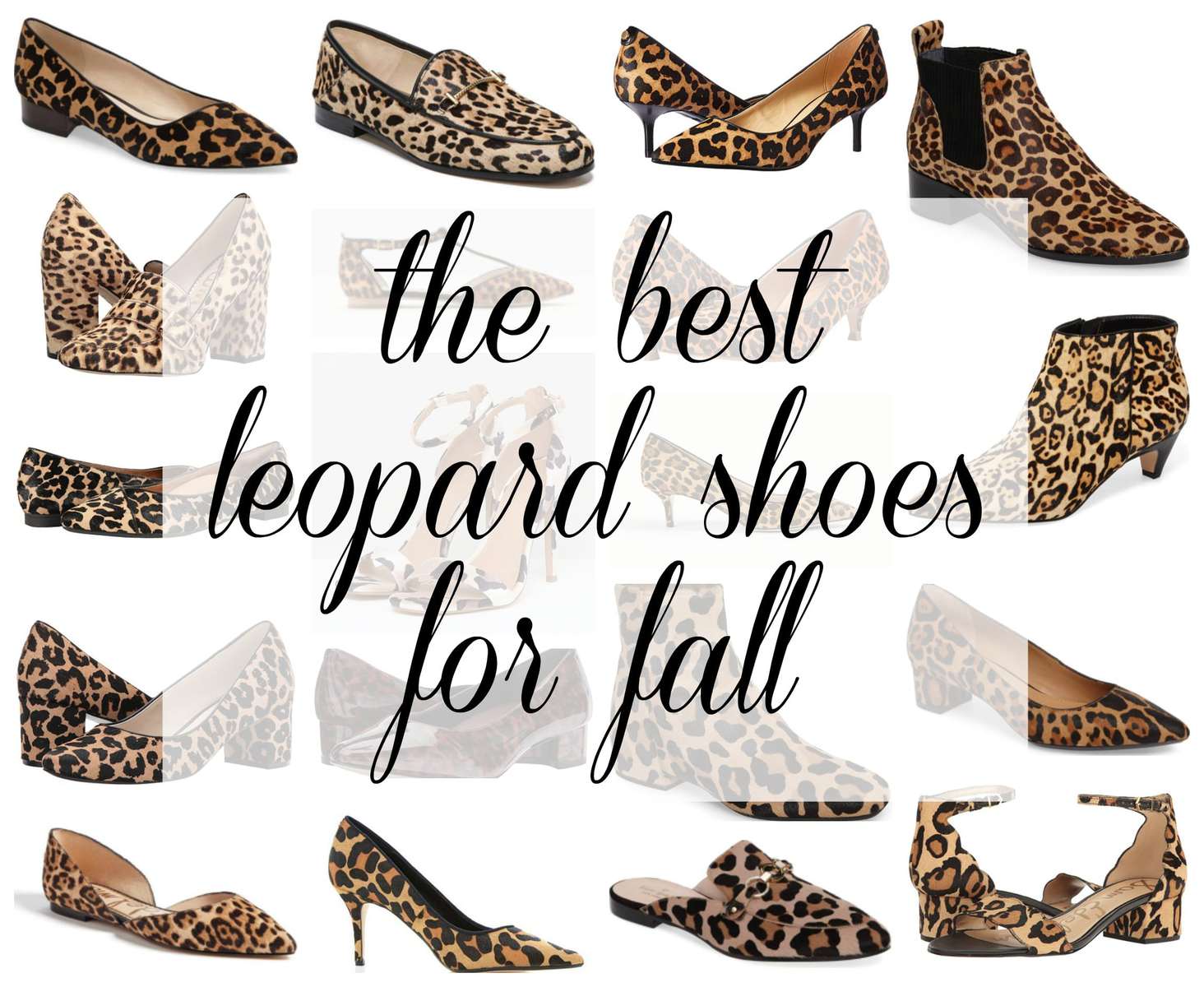 leopard print shoes high heels