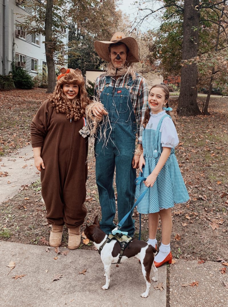 Family Wizard of Oz Costume for Halloween | Wardrobe Oxygen