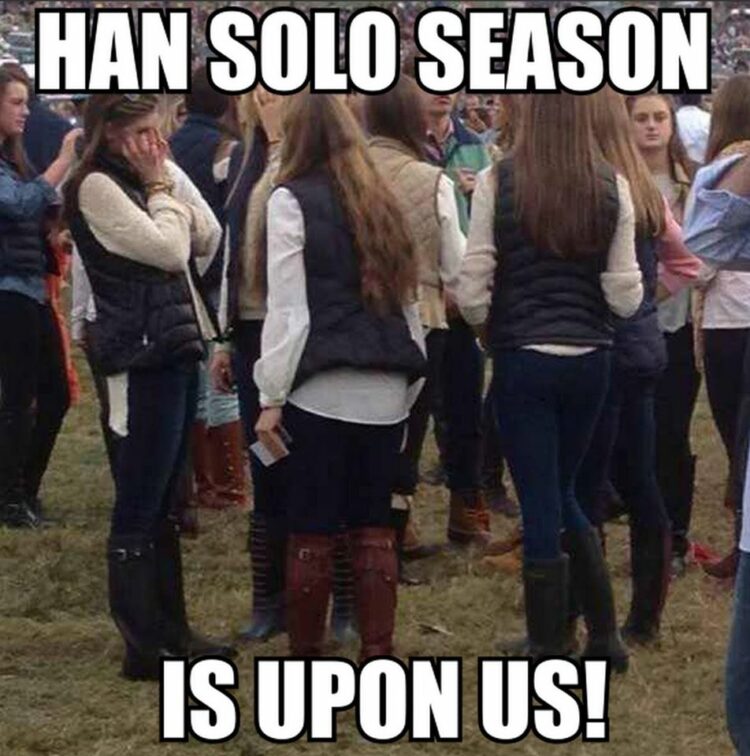 han solo season meme