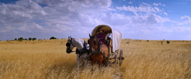 covered wagon on the english amazon