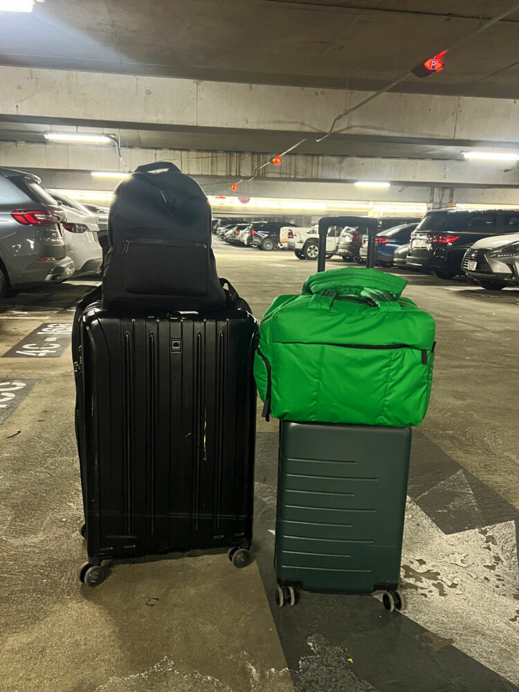 Two suitcases, a Dagne Dover dakota backpack, and CALPAK bag in an airport parking lot